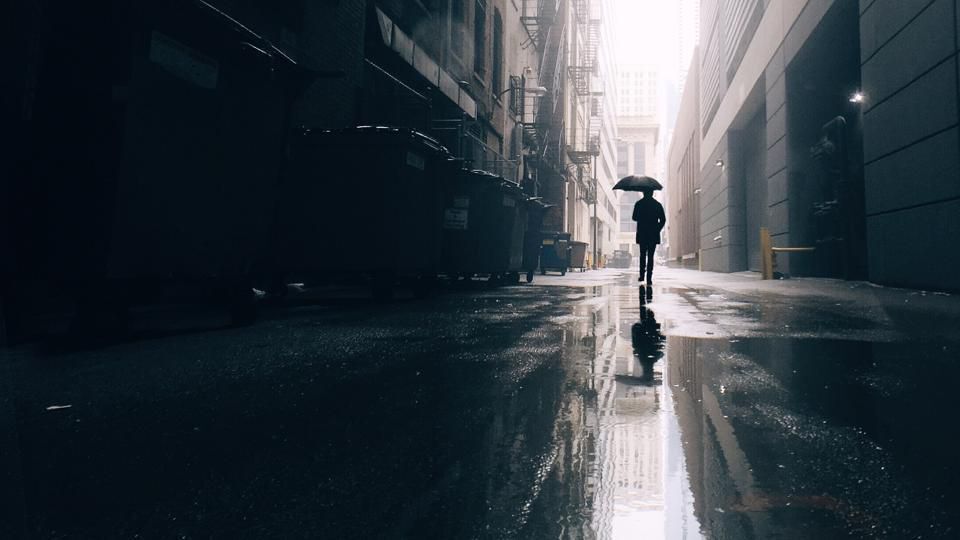 Treasury Inflation Protected Securities (tips)