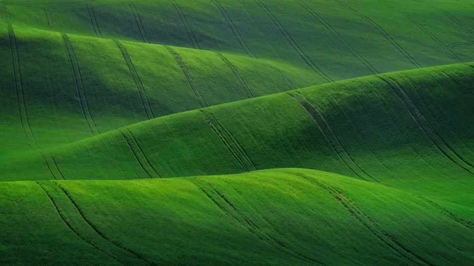 When Should You Choose Taxable Investment Accounts?